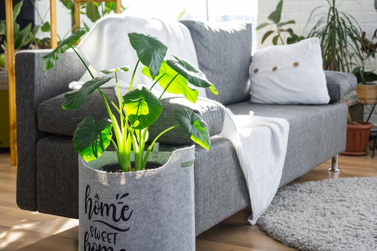 Bringing Nature Into Your Home