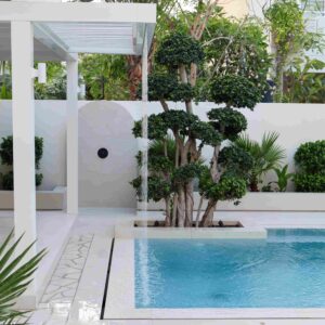 pergola construction meadows 9 dubai