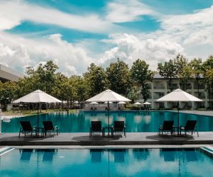 Pool area adorned with various tropical plants, creating a lush and exotic atmosphere (2)