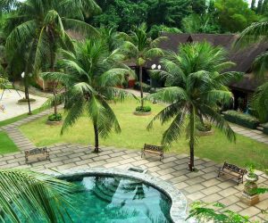 Pool area adorned with various tropical plants, creating a lush and exotic atmosphere