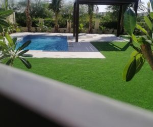 WhatsApp Image 2024-08-24 at 11.05.59 AM (1)