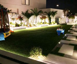 Best landscaping company in Dubai