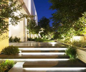 Tropical Garden Landscaping with stepping Lights